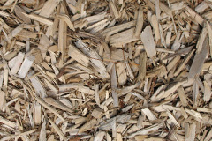 biomass boilers Carkeel